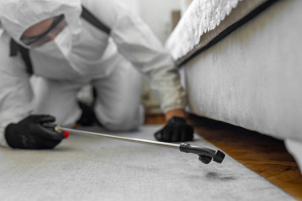 Professional Termite Control technician working in Cedar Crest, MA